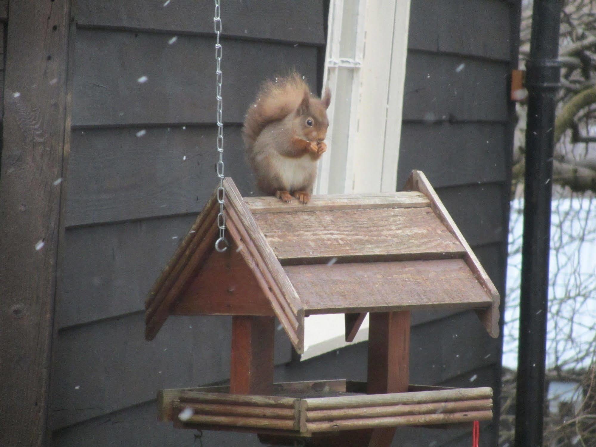 Grantown-on-Spey Rossmor Bed & Breakfast מראה חיצוני תמונה